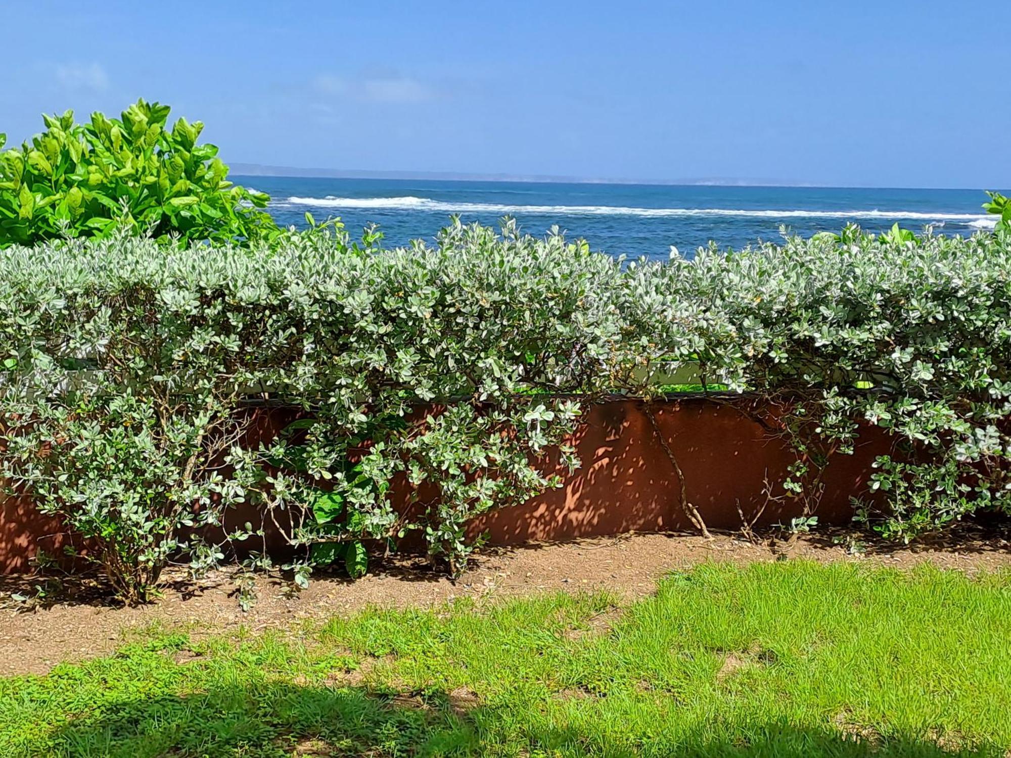 Rdc Appartement En Bord De Mer Au Son Des Vagues Le Moule Exterior photo